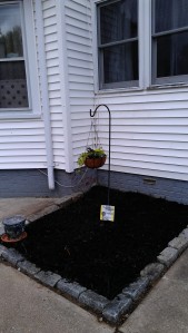 Black mulch, dollar-store hanger and plaque, bargain plants from small vendor off of route 6 and pot from indoors, hopefully growing Angel's Trumpets. Enough for now.
